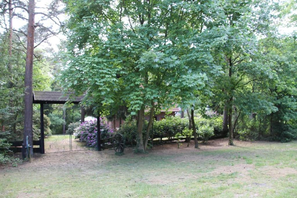 Ferienhaus Am Waldesrand Hatten المظهر الخارجي الصورة