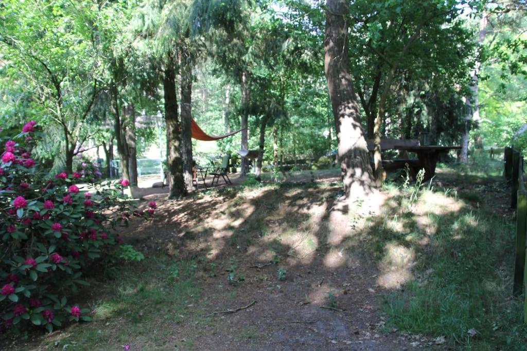 Ferienhaus Am Waldesrand Hatten المظهر الخارجي الصورة