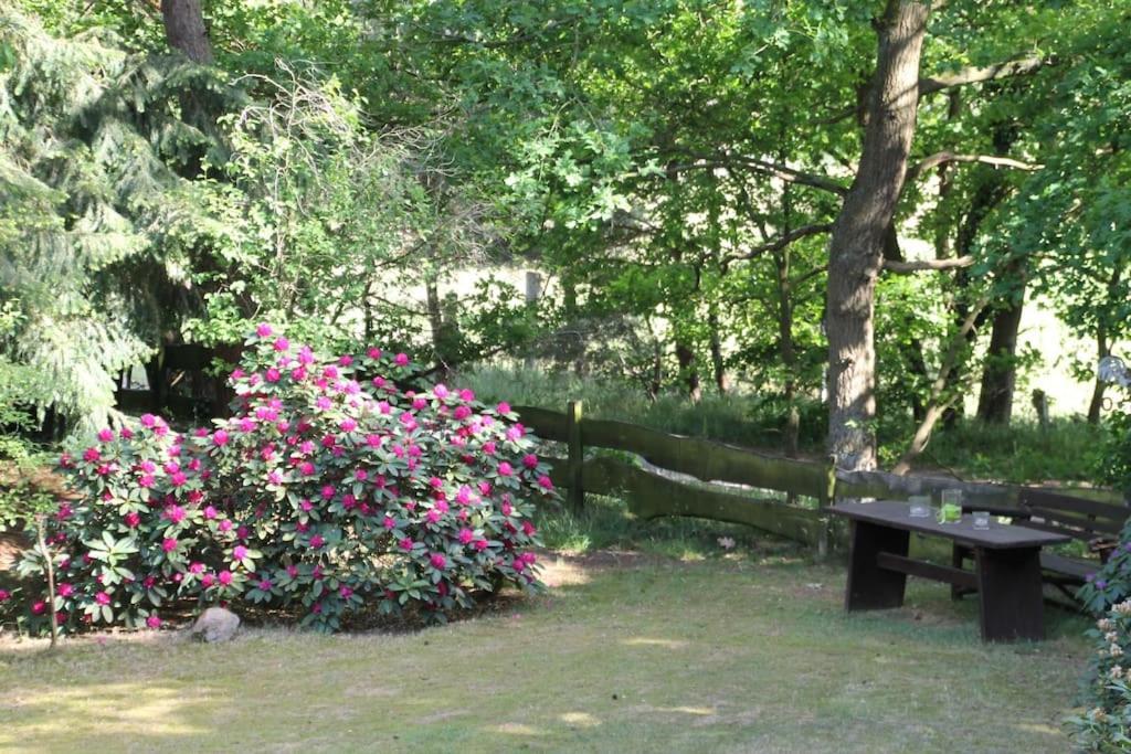 Ferienhaus Am Waldesrand Hatten المظهر الخارجي الصورة