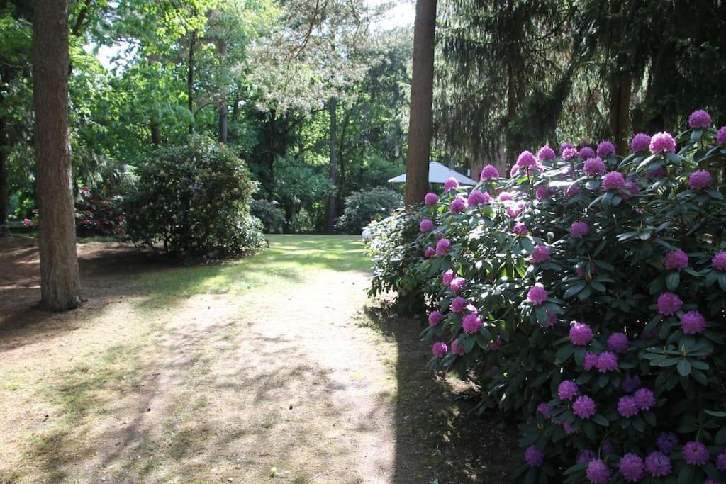 Ferienhaus Am Waldesrand Hatten المظهر الخارجي الصورة