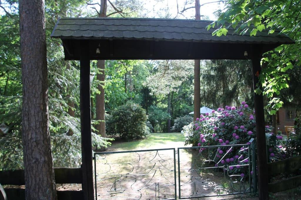 Ferienhaus Am Waldesrand Hatten المظهر الخارجي الصورة
