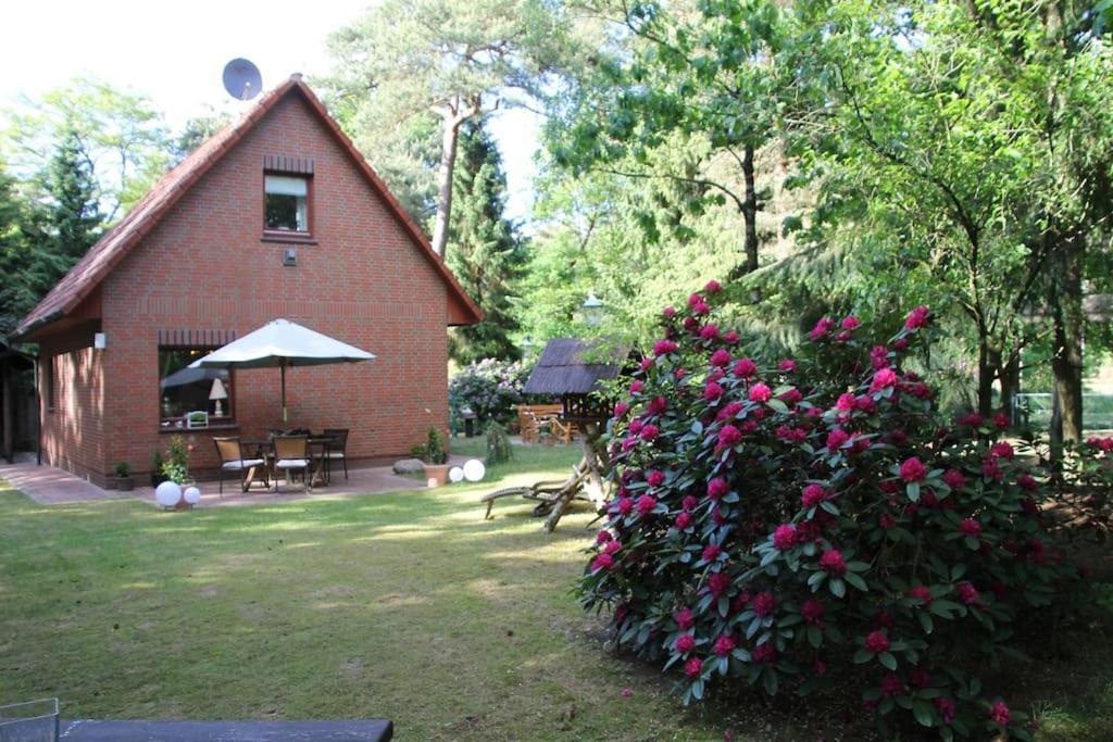 Ferienhaus Am Waldesrand Hatten المظهر الخارجي الصورة